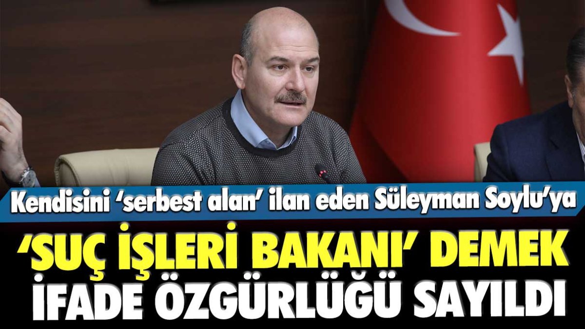 Mahkemeden Süleyman Soylu kararı: 'Suç İşleri Bakanı' demek ifade özgürlüğü sayıldı