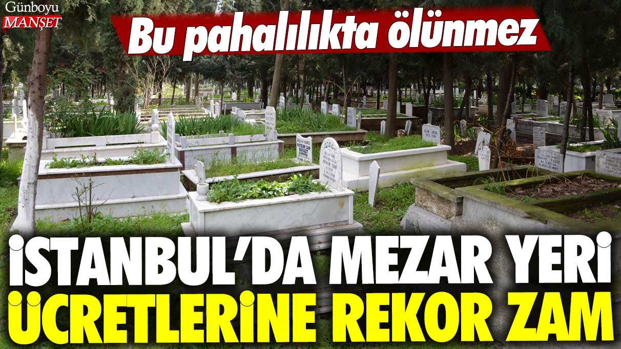 İstanbul'da mezar yeri ücretlerine rekor zam: Bu pahalılıkta ölünmez