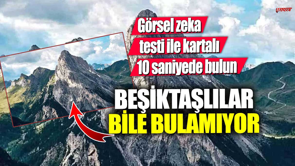 Beşiktaşlılar bile bulamıyor: Görsel zeka testi ile kartalı 10 saniyede bulun