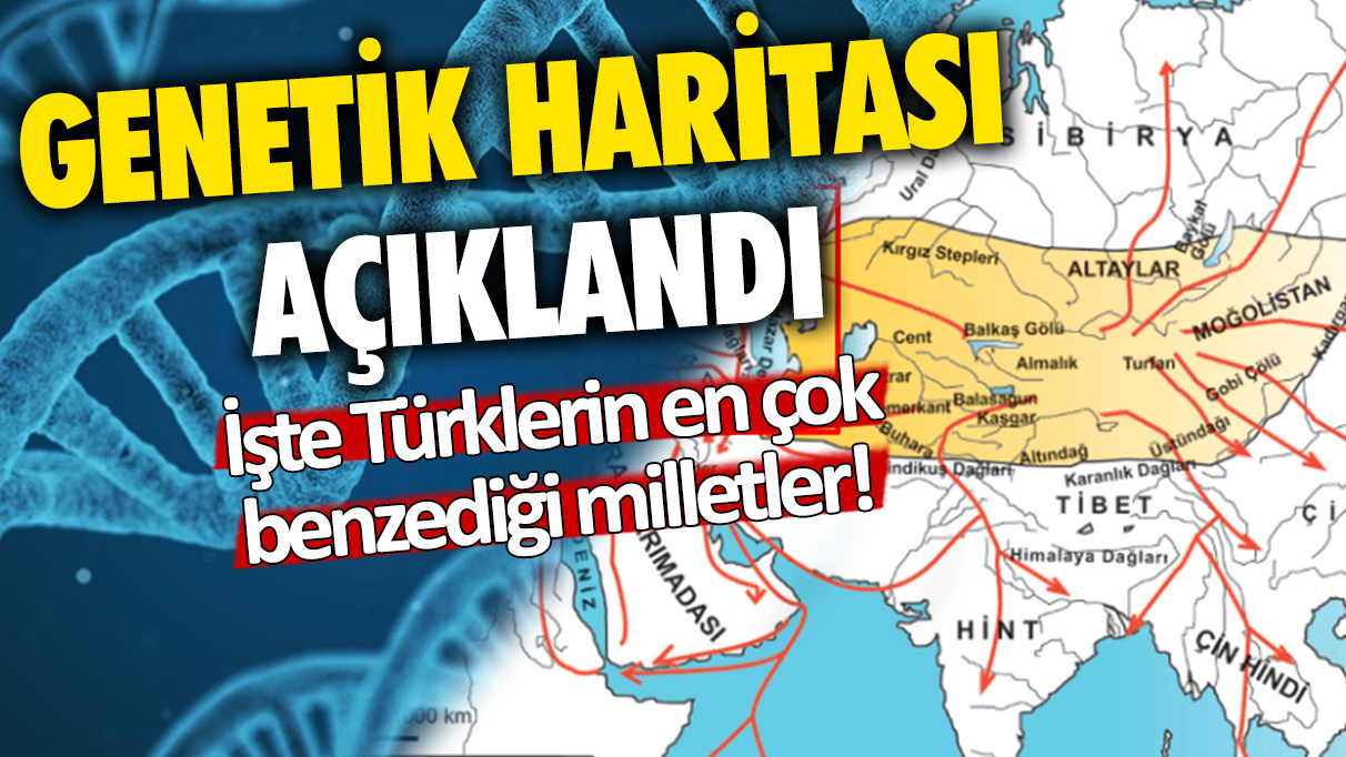 Genetik haritası açıklandı: İşte Türklerin en çok benzediği milletler!