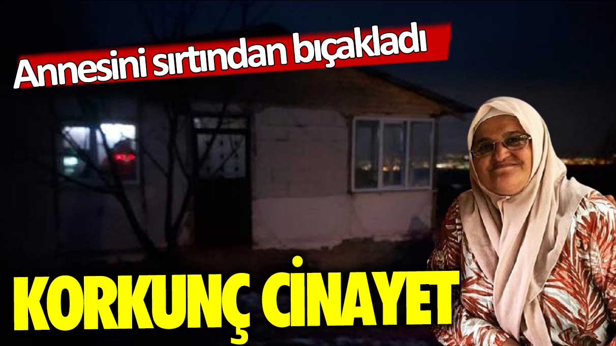 Bursa'da korkunç olay: Annesini sırtından bıçaklayarak öldürdü