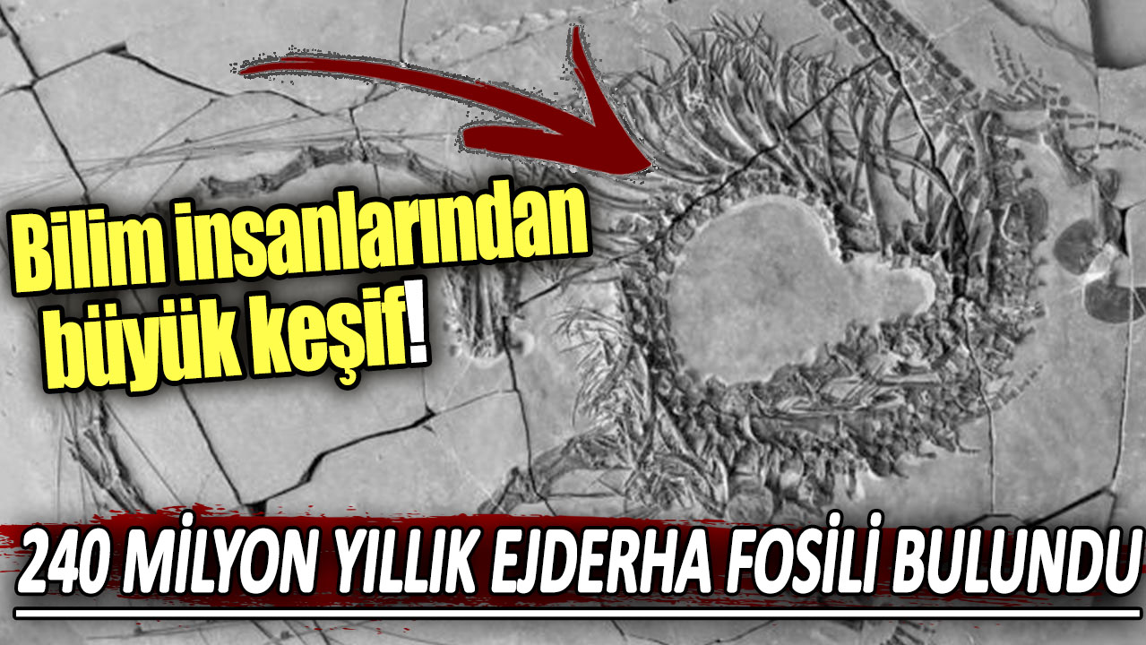 240 milyon yıllık ejderha fosili bulundu: Bilim insanlarından büyük keşif!