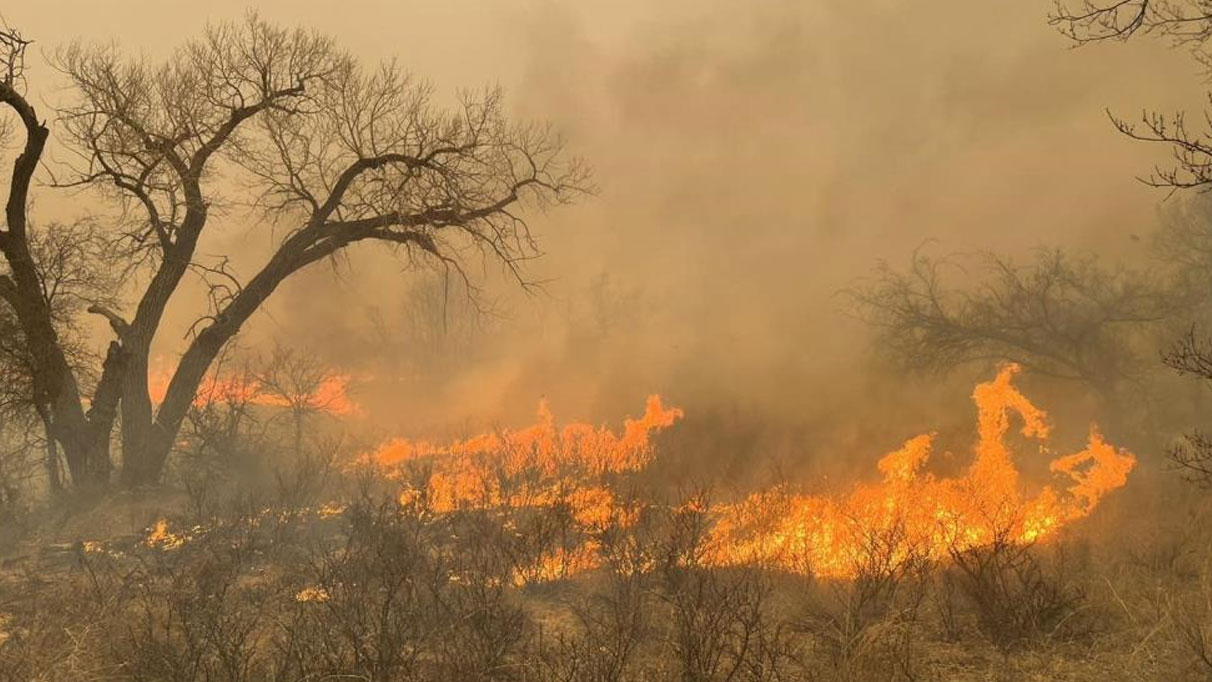 Texas’ta orman yangınları faciaya dönüştü: İtfaiyeciler alevlerin arasında kaldı