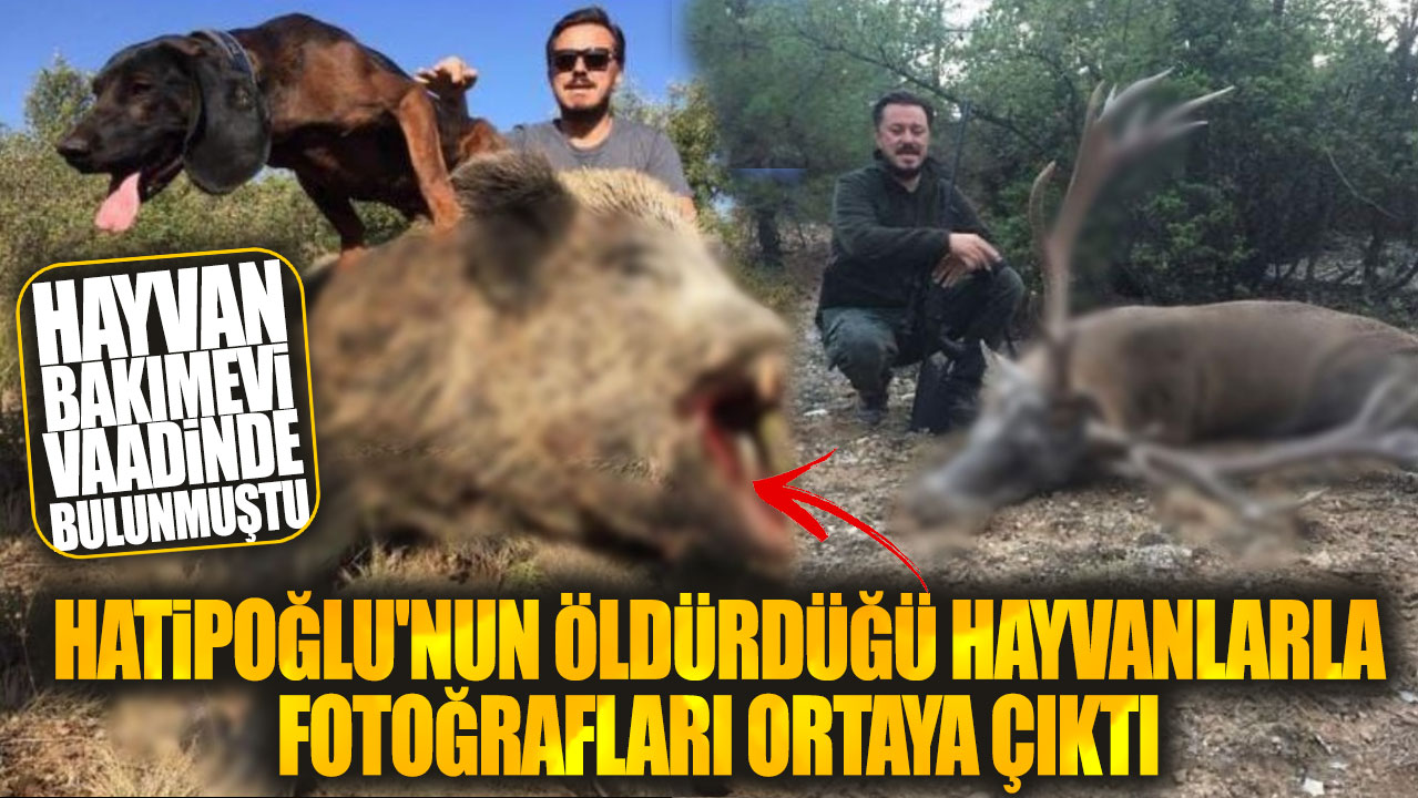 AKP'li Nebi Hatipoğlu'nun öldürdüğü hayvanlarla fotoğrafları ortaya çıktı