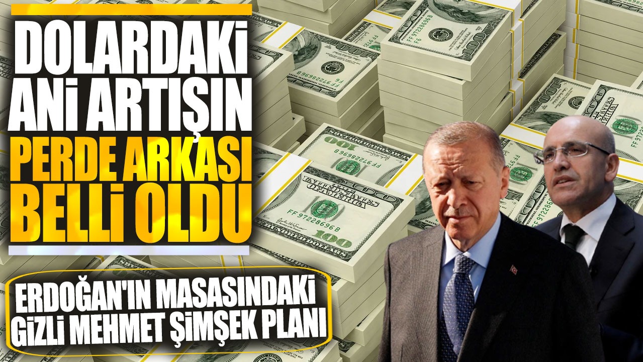 Dolardaki ani artışın perde arkası belli oldu! Erdoğan'ın masasındaki gizli Mehmet Şimşek planı