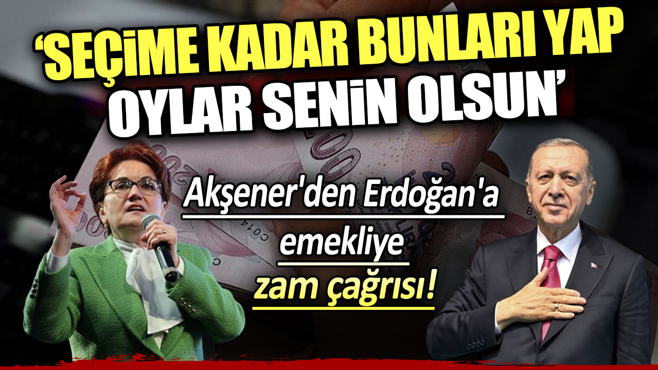 Akşener'den Erdoğan'a emekliye zam çağrısı: Seçime kadar bunları yap oylar senin olsun!