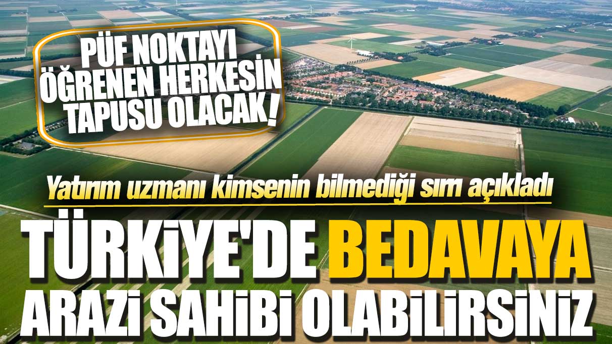 Türkiye'de bedavaya arazi sahibi olabilirsiniz: Yatırım uzmanı kimsenin bilmediği sırrı açıkladı! Püf noktayı öğrenen herkesin tapusu olacak