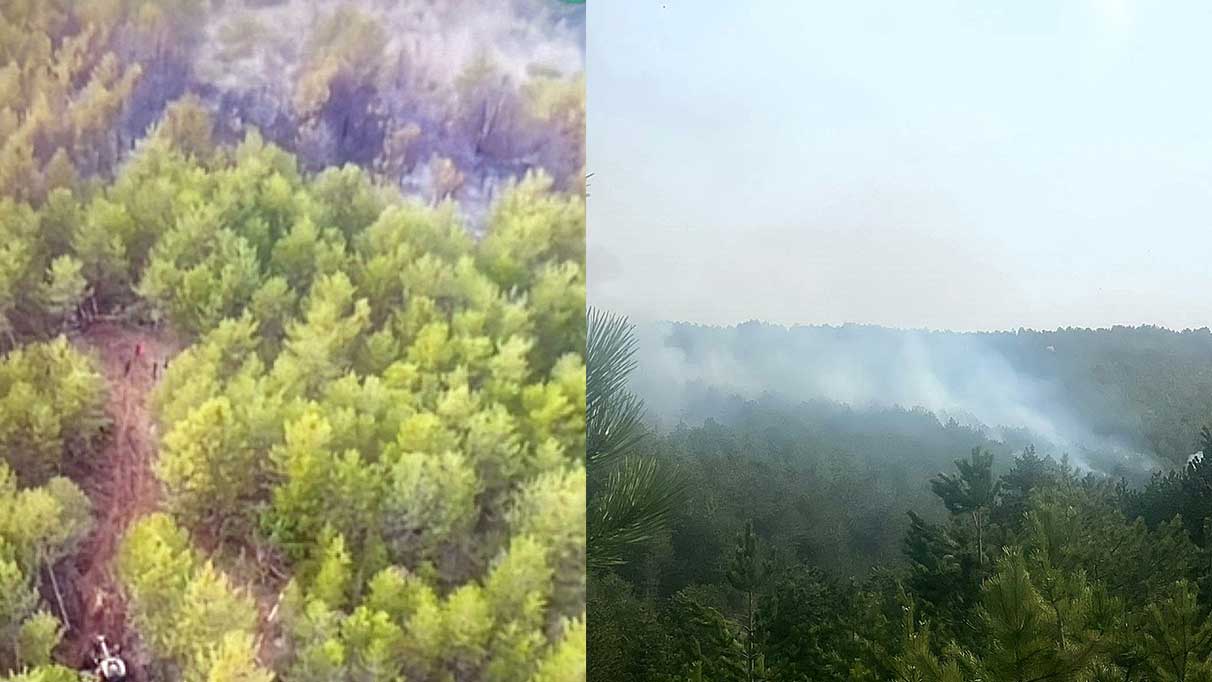 Eskişehir’de orman yangını! 1 hektarlık alan zarar gördü