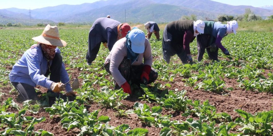 CHP’den çiftçi borçlarının yapılandırılması için kanun teklifi