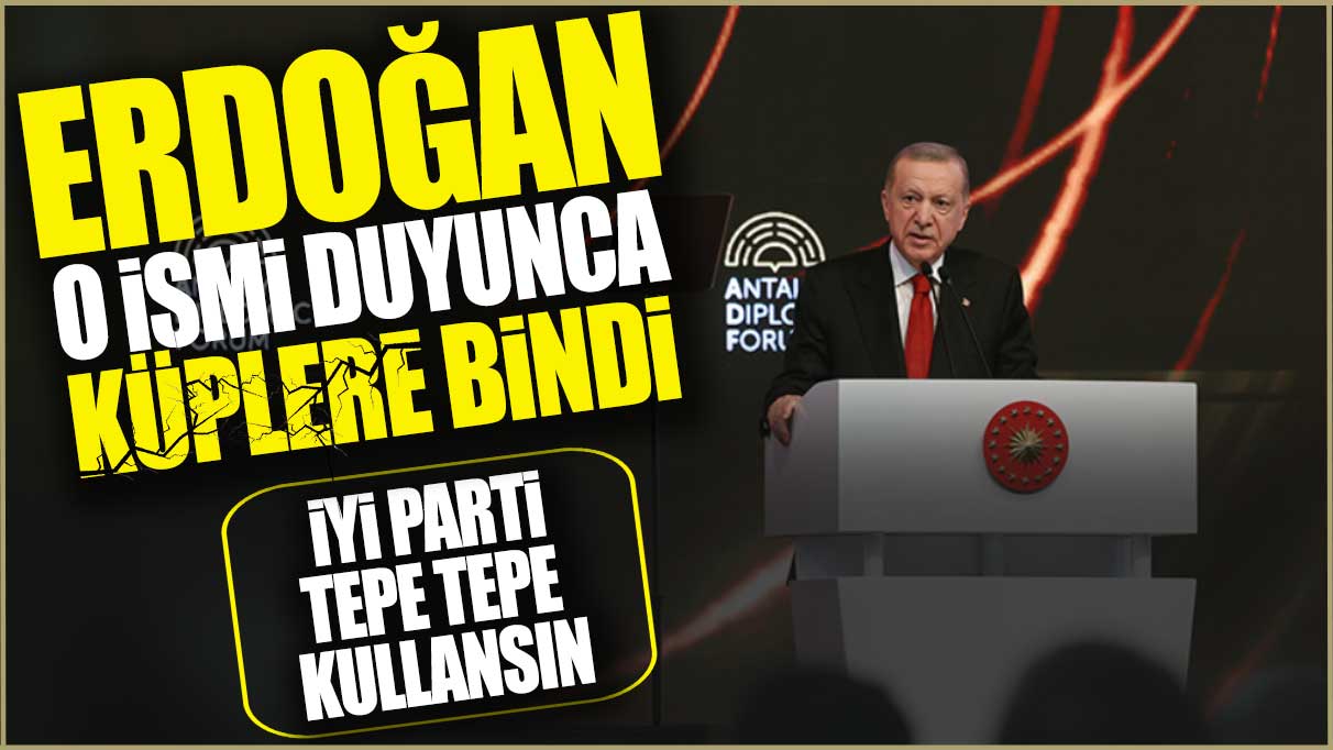 Erdoğan o ismi duyunca küplere bindi: İYİ Parti tepe tepe kullansın