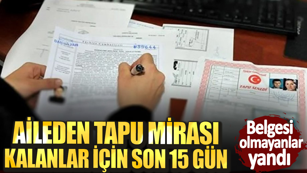 Aileden tapu mirası kalanlar için son 15 gün! Belgesi olmayanlar yandı