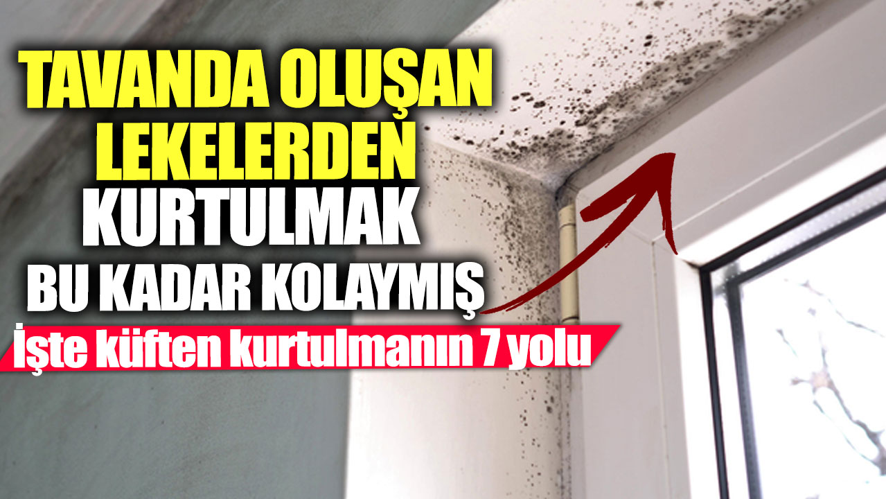 Tavanda oluşan lekelerden kurtulmak bu kadar kolaymış! İşte küften kurtulmanın 7 yolu