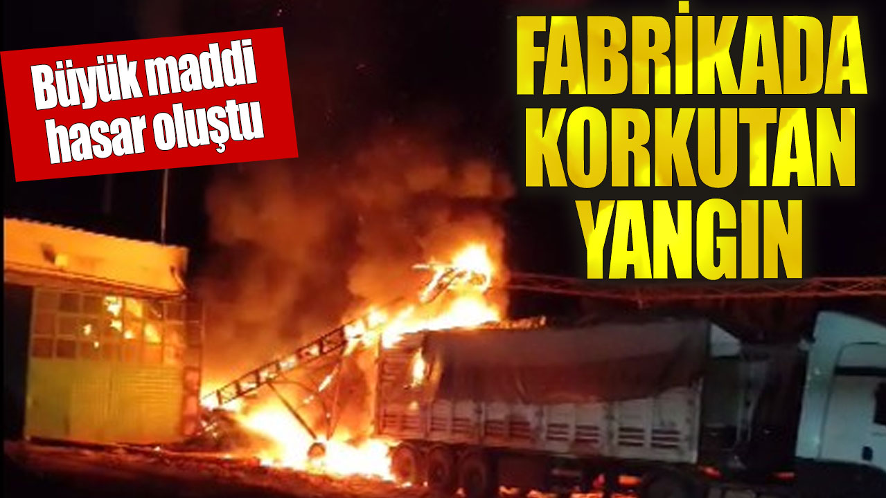 Kastamonu'da fabrika yangını korkuttu!