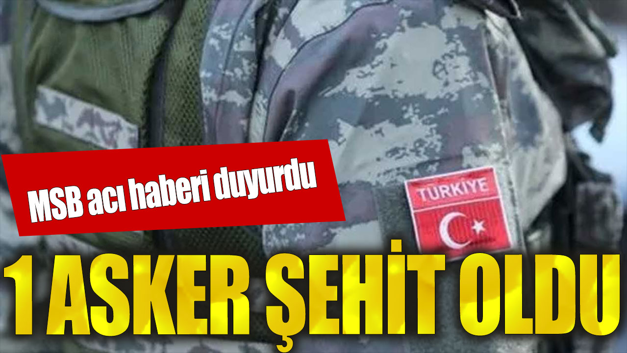 MSB acı haberi duyurdu: 1 asker şehit oldu