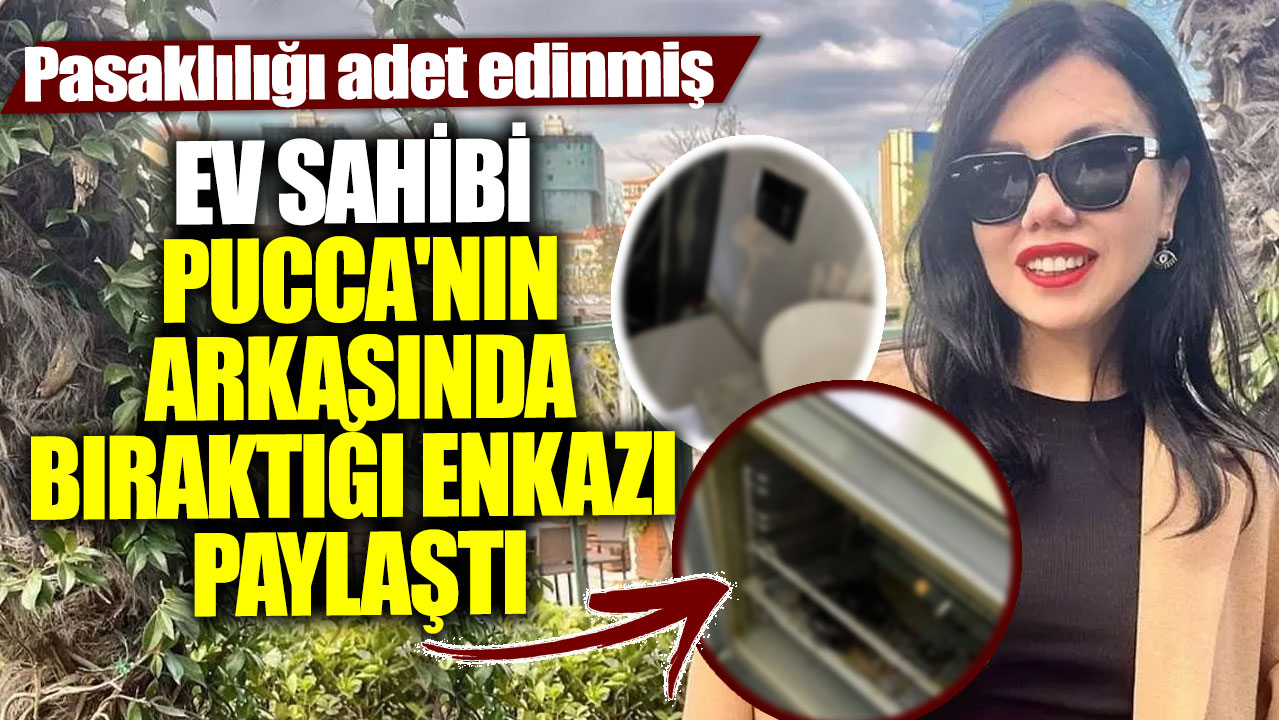 Ev sahibi Pucca'nın arkasında bıraktığı enkazı paylaştı! Pasaklılığı adet edinmiş