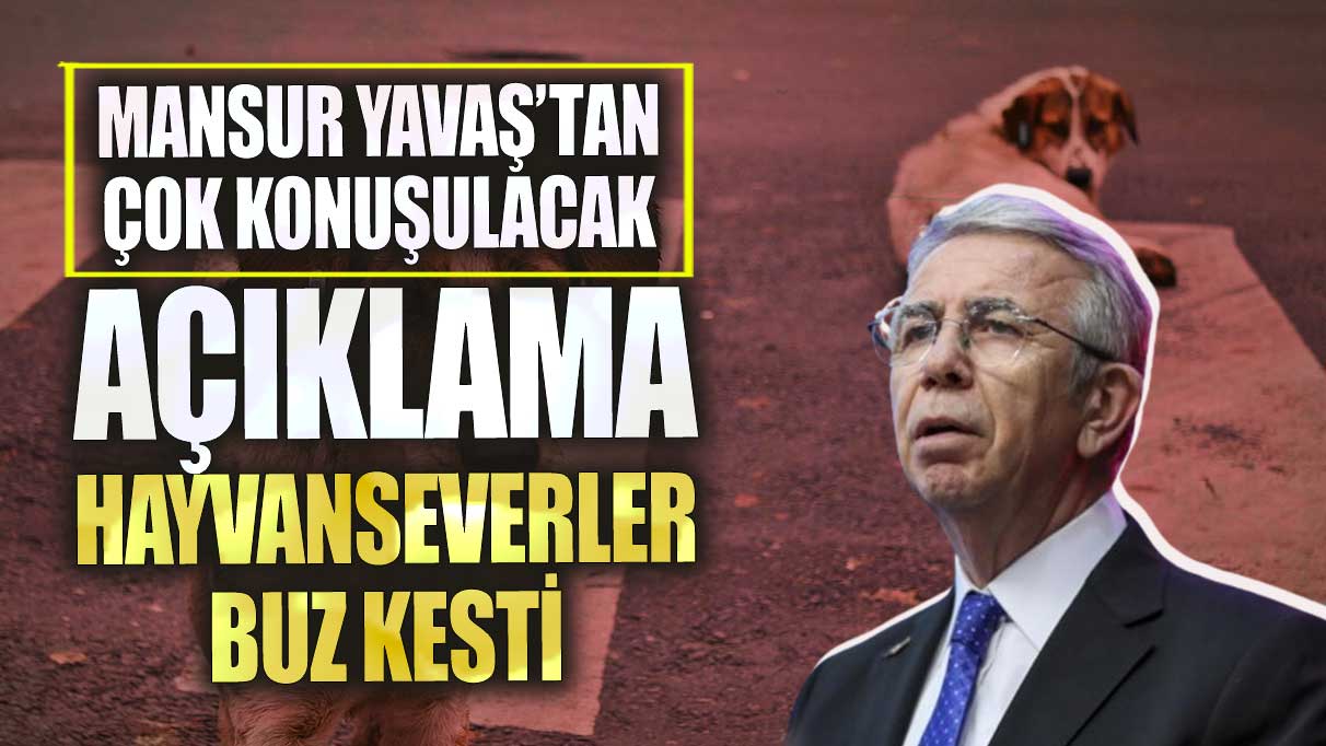 Mansur Yavaş’tan çok konuşulacak açıklama! Hayvanseverler buz kesti