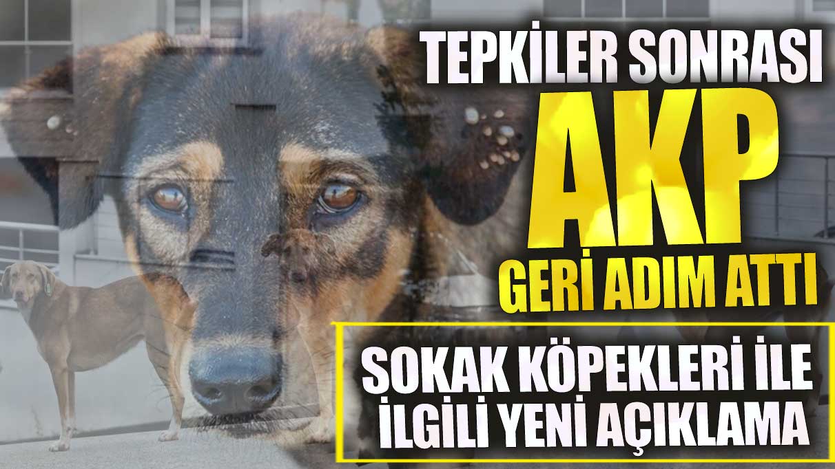 AKP geri adım attı! Sokak köpekleri ile ilgili yeni açıklama