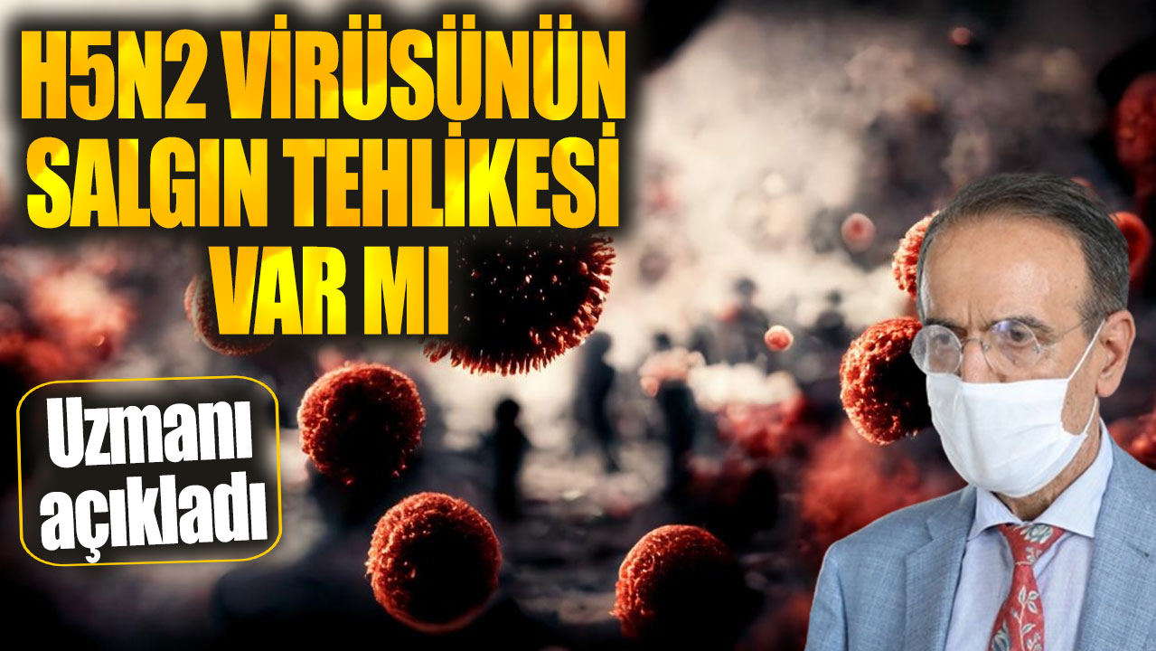 H5N2 virüsünün salgın tehlikesi var mı? Prof. Dr. Mehmet Ceyhan açıkladı