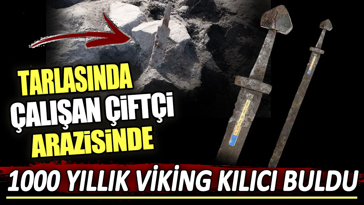 Tarlasında çalışan çiftçi arazisinde 1000 yıllık Viking kılıcı buldu
