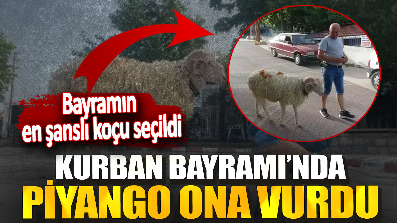 Kurban Bayramı’nda piyango ona vurdu! Bayramın en şanslı koçu seçildi