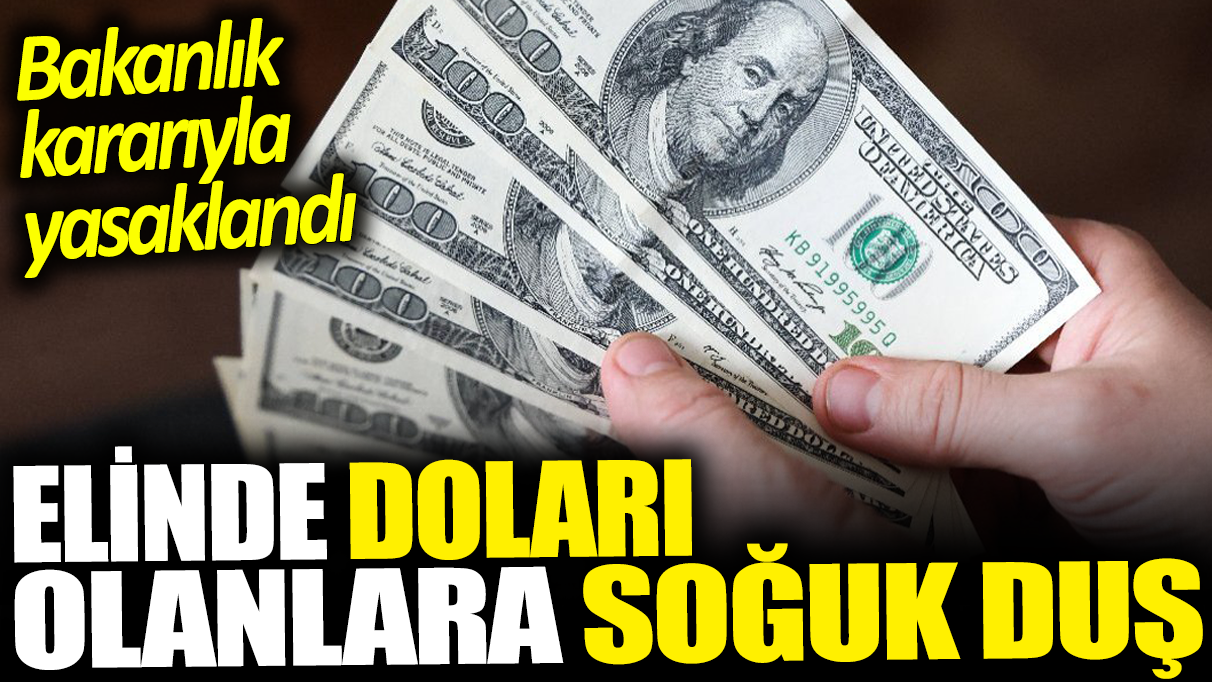 Elinde doları olanlara soğuk duş: Bakanlık kararıyla yasaklandı