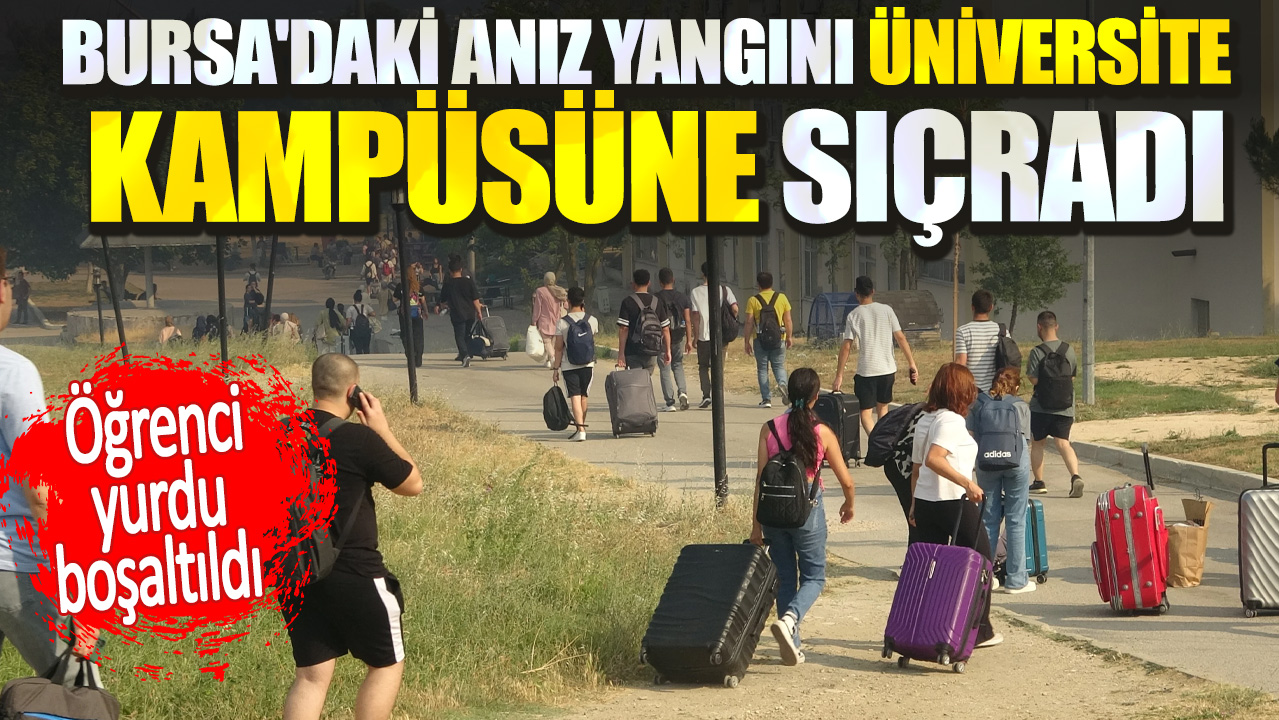 Bursa'daki anız yangını üniversite kampüsüne sıçradı. Öğrenci yurdu boşaltıldı