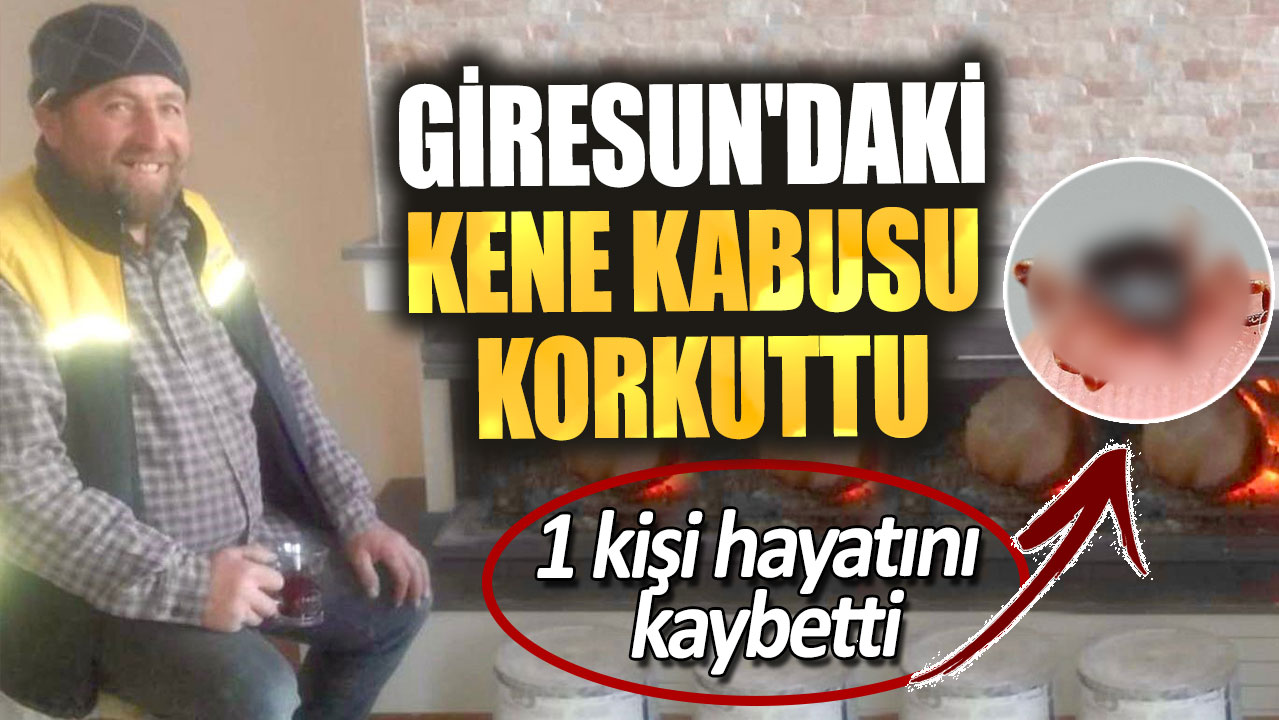 Giresun'daki kene kabusu korkuttu.1 kişi hayatını kaybetti