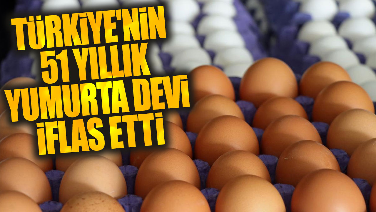 Türkiye'nin 51 yıllık yumurta devi iflas etti