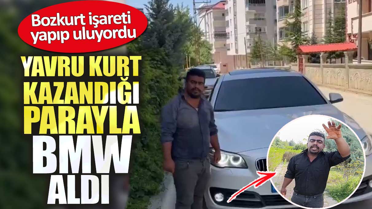 Bozkurt işareti yapıp uluyan yavru kurt BMW'yi kaptı