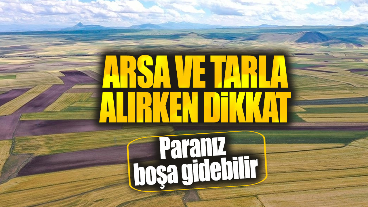 Arsa ve tarla alırken dikkat: Aldığınız tapu boşa gidebilir