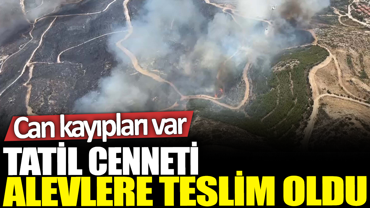 Tatil cenneti alevlere teslim oldu: Can kayıpları var!