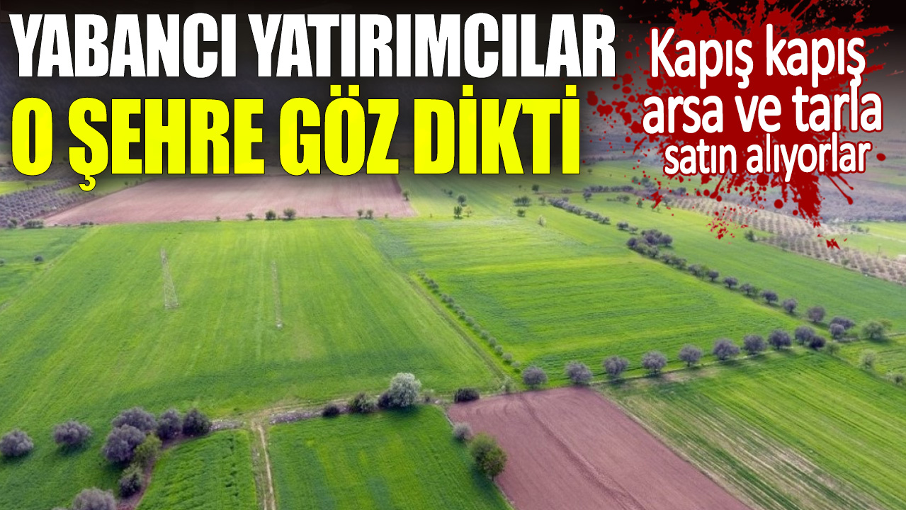 Yabancı yatırımcılar o şehre göz dikti. Kapış kapış arsa ve tarla satın alıyorlar