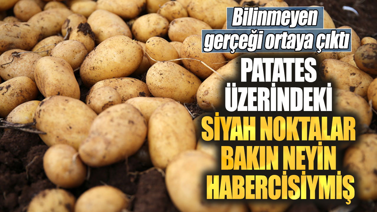 Patates üzerindeki siyah noktalar bakın neyin habercisiymiş. Pek bilinmeyen gerçeği ortaya çıktı