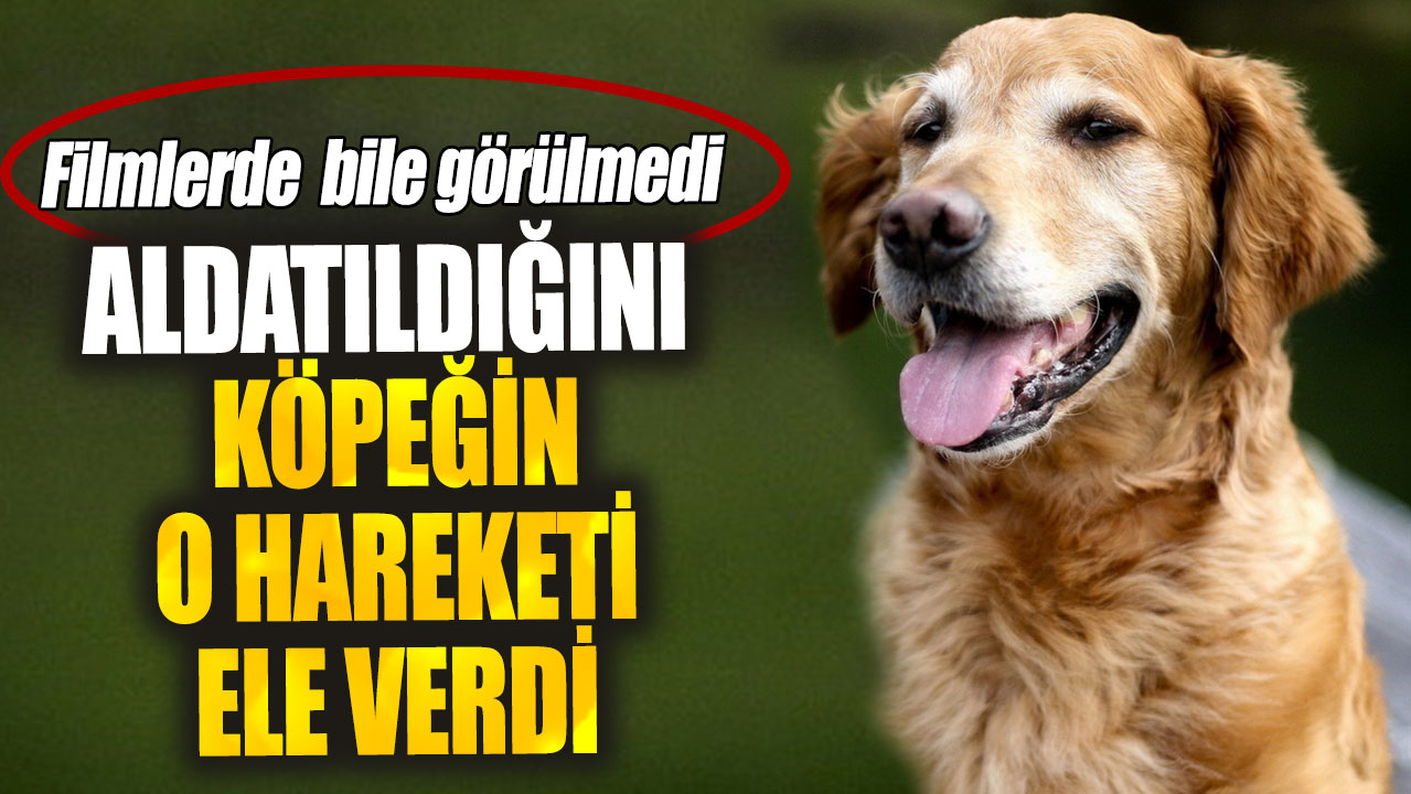 Filmlerde  bile görülmedi. Aldatıldığını köpeğin o hareketi ele verdi