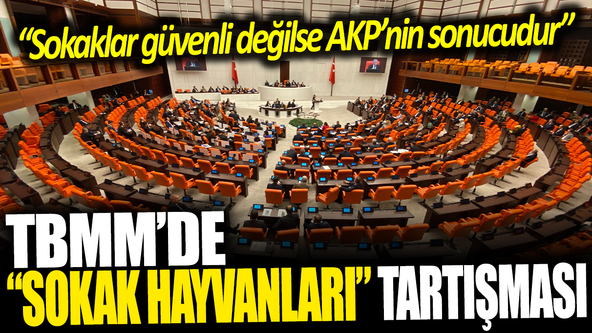 TBMM'de 'Sokak Hayvanları' tartışması: Sokaklar güvenli değilse AKP’nin sonucudur