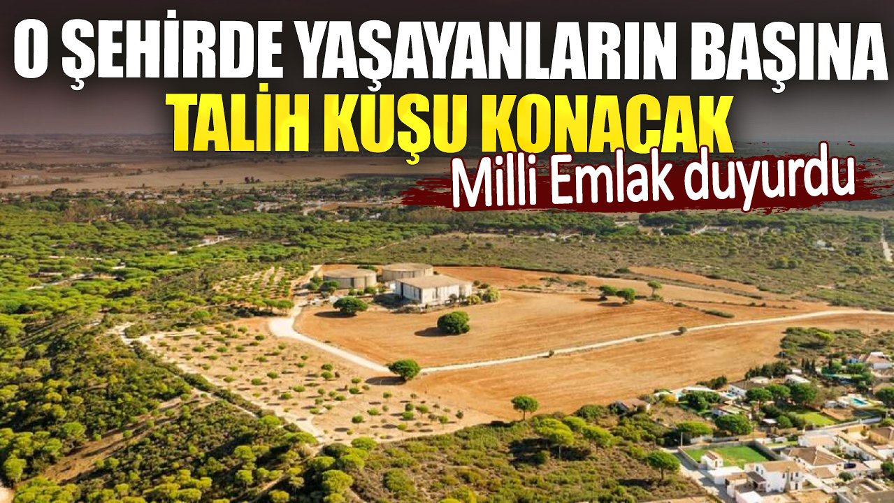 Milli Emlak duyurdu.  O şehirde yaşayanların başına talih kuşu konacak