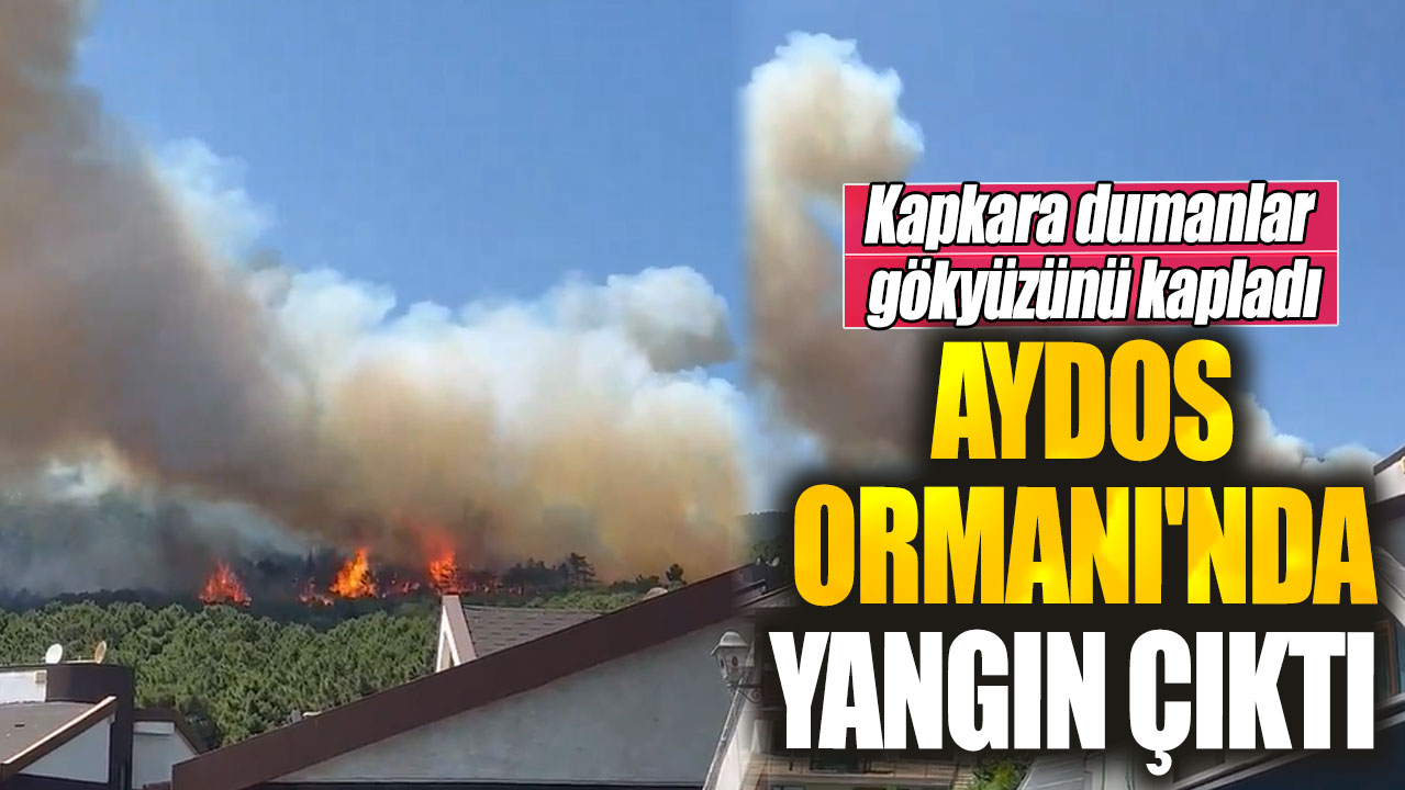 Son dakika... Aydos Ormanı’nda yangın çıktı. Kapkara dumanlar gökyüzünü kapladı