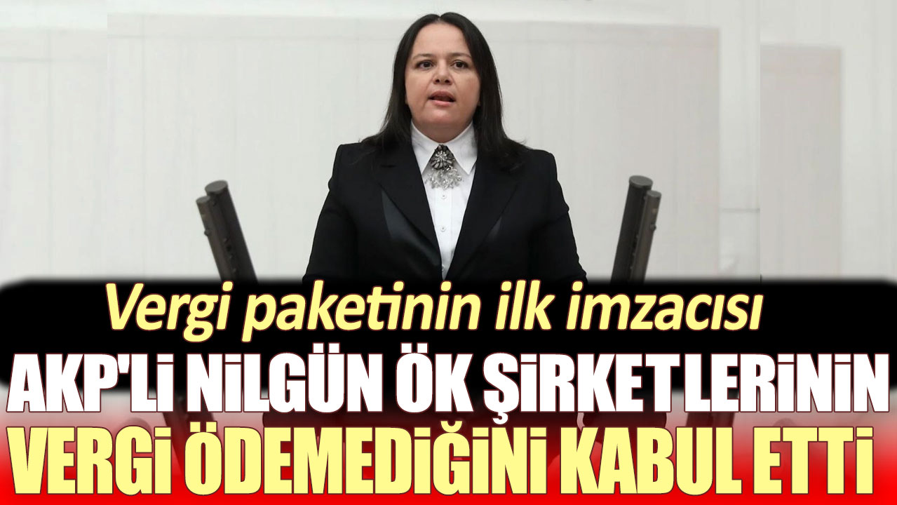 AKP'li Nilgün Ök şirketlerinin vergi ödemediğini kabul etti. Vergi paketinin ilk imzacısı