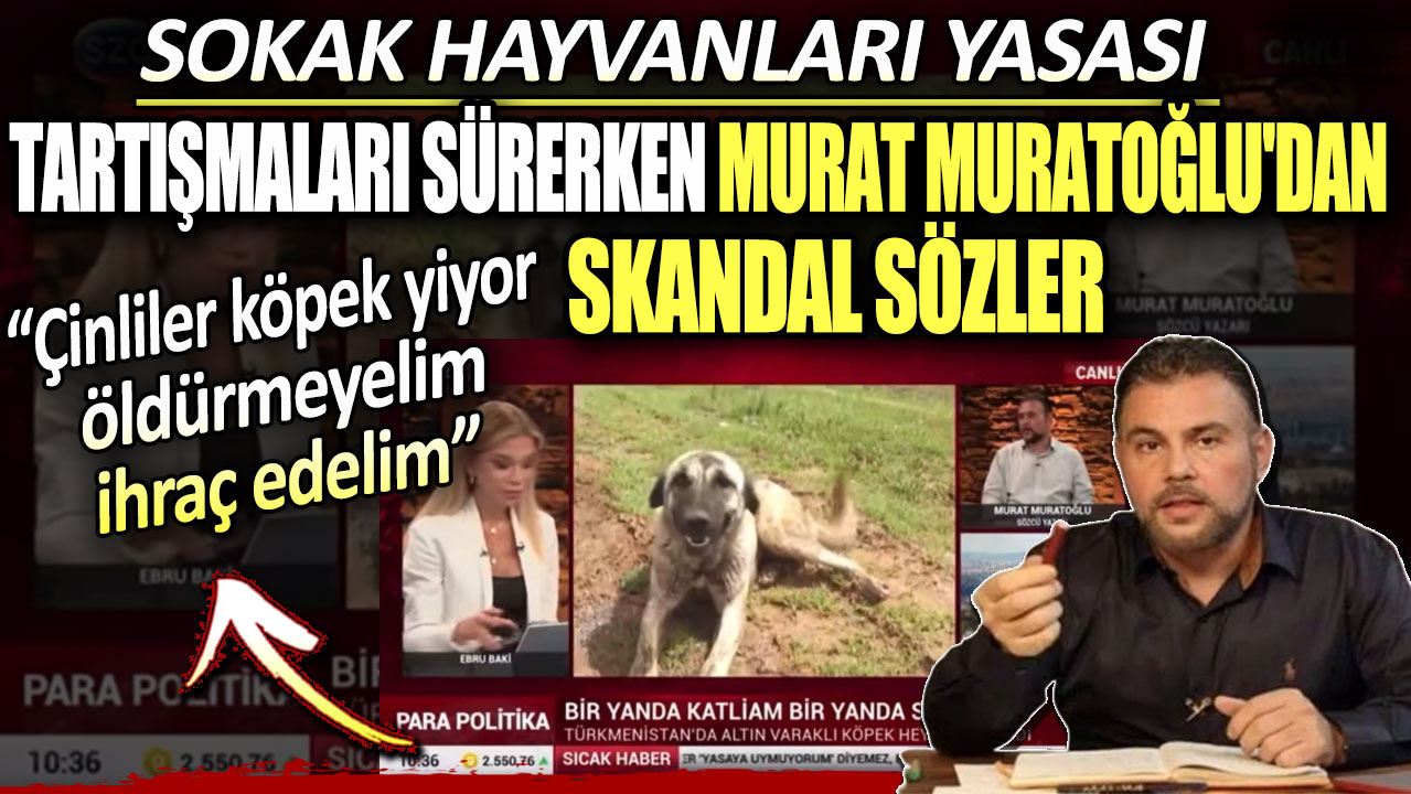 Ekonomist Murat Muratoğlu'dan skandal sözler. Çinliler köpek yiyor öldürmeyelim ihraç edelim