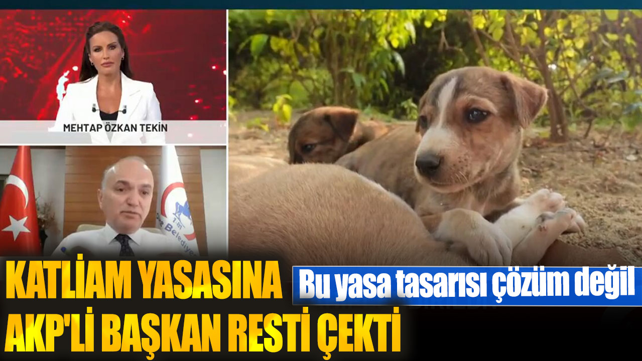 Katliam yasasına AKP'li başkan resti çekti: Bu yasa tasarısı çözüm değil