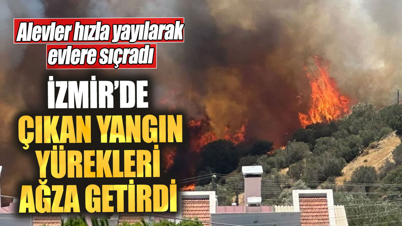 İzmir’de çıkan yangın yürekleri ağza getirdi! Alevler hızla yayılarak evlere sıçradı