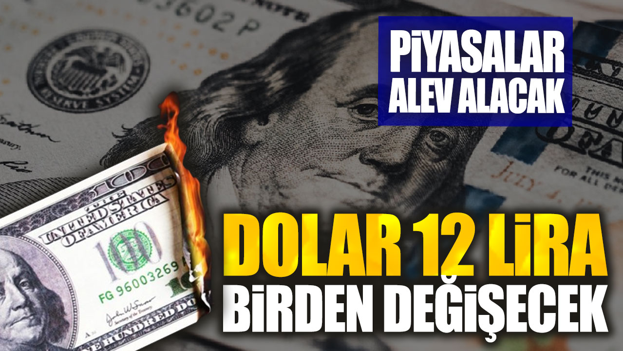 Dolar 12 lira birden değişecek. Piyasalarda kur şoku