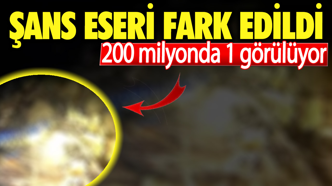 200 milyonda 1 görülüyor. Şans eseri fark edildi