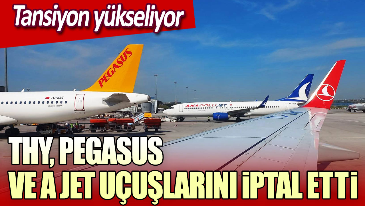 THY Pegasus ve A Jet uçuşlarını iptal etti