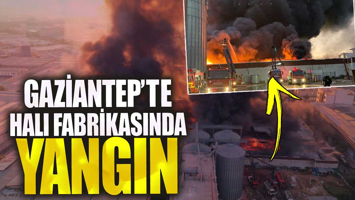 Son dakika...Gaziantep'te halı fabrikasında yangın