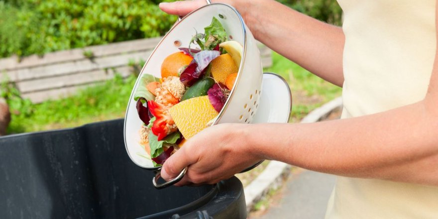 Dünya da her 3 gıdadan biri çöpe gidiyor