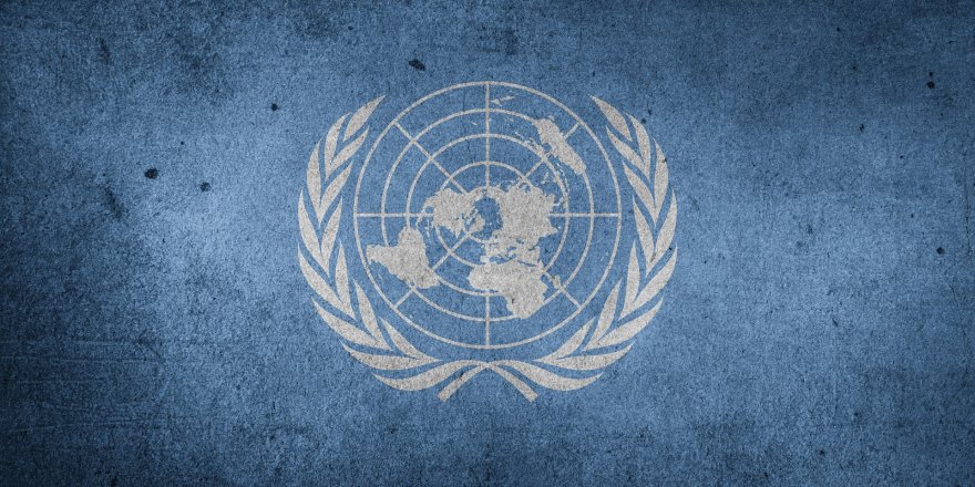 BM'ye borcunu ödemeyen 7 üye ülkenin oy hakkı iptal edildi