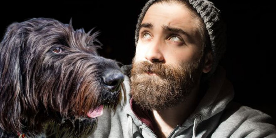 Erkek sakalları köpeklerin tüylerinden daha kirli!