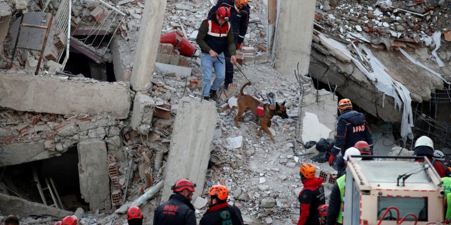 Elazığ depreminin isimsiz kahramanları: Kurtarma köpekleri