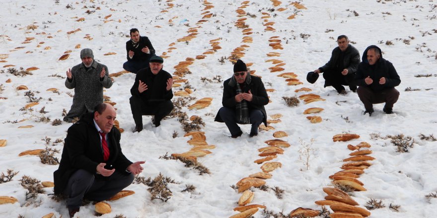 Erzurum'da doğaya 2001 ekmek bırakıp, dua ettiler!